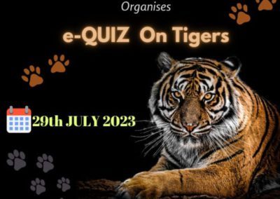 International Tiger Day - e-Quiz