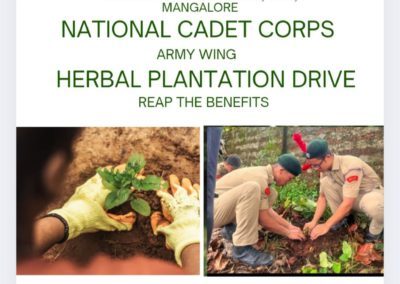 Plantation Drive